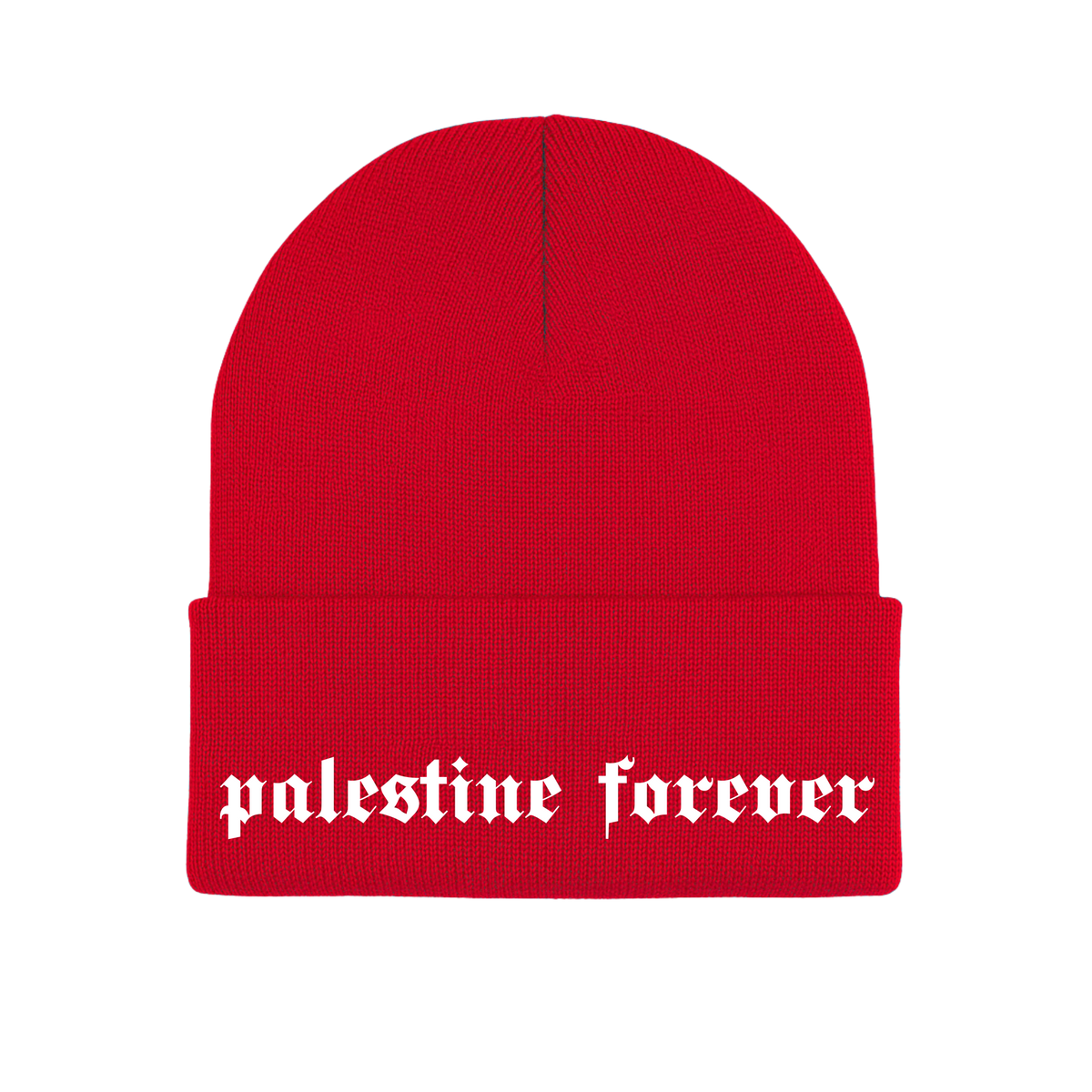 Palestine Forever Beanie