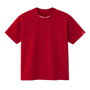 Palestine Forever Premium Heavyweight T-Shirt