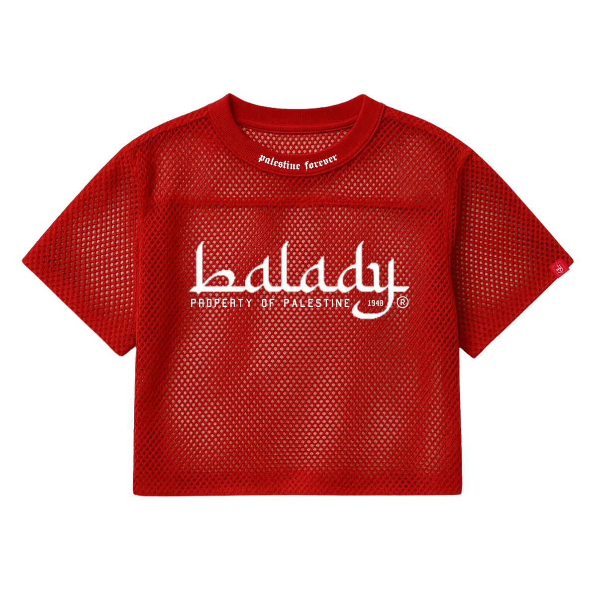 Property Of Palestine Mesh Jersey