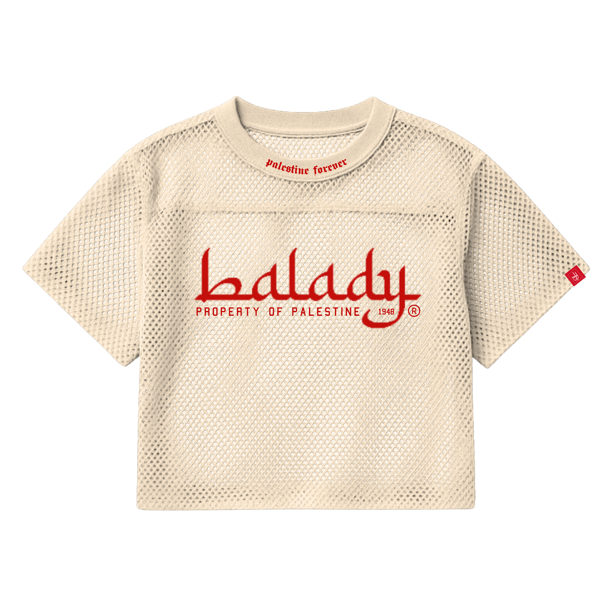 Property Of Palestine Mesh Jersey